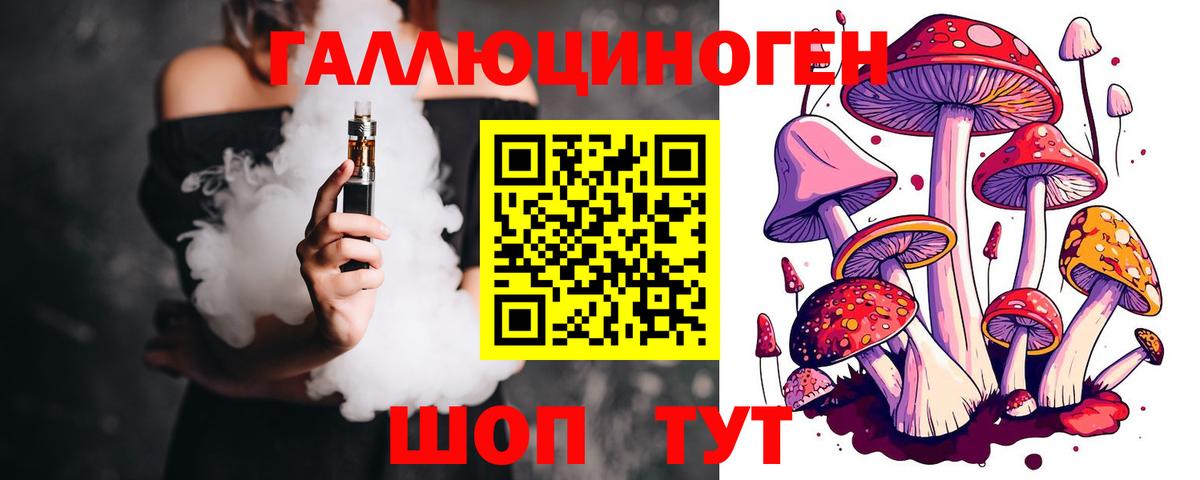 Дубна  Псилоцибиновые грибы MAGIC MUSHROOMS  Вход с VPN 
